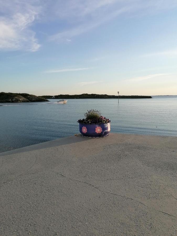 Seaview apartment Karmøy Sæveland Eksteriør bilde