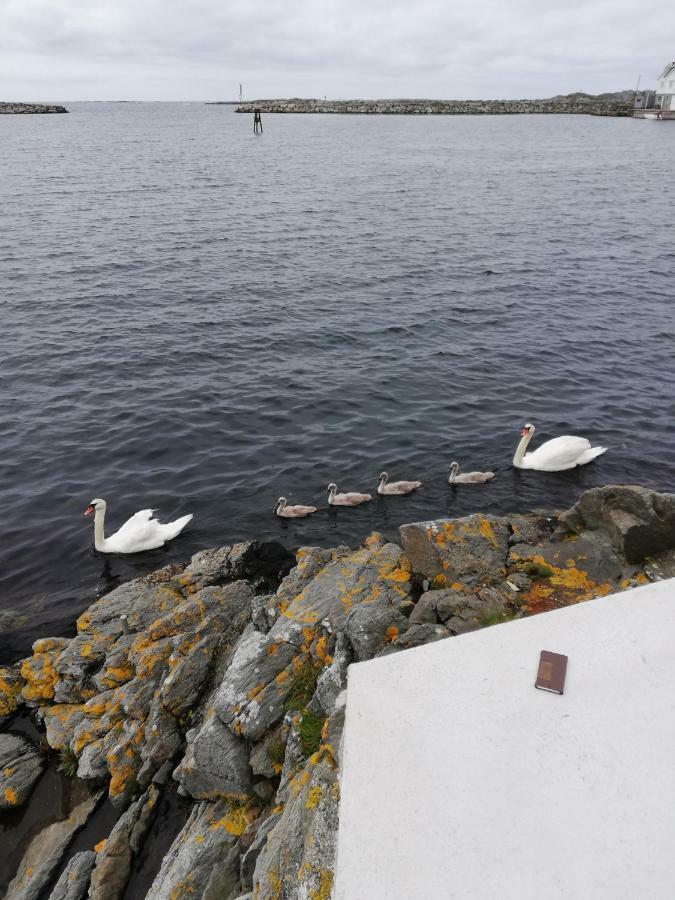 Seaview apartment Karmøy Sæveland Eksteriør bilde